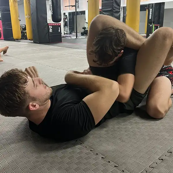 xarts bjj 31