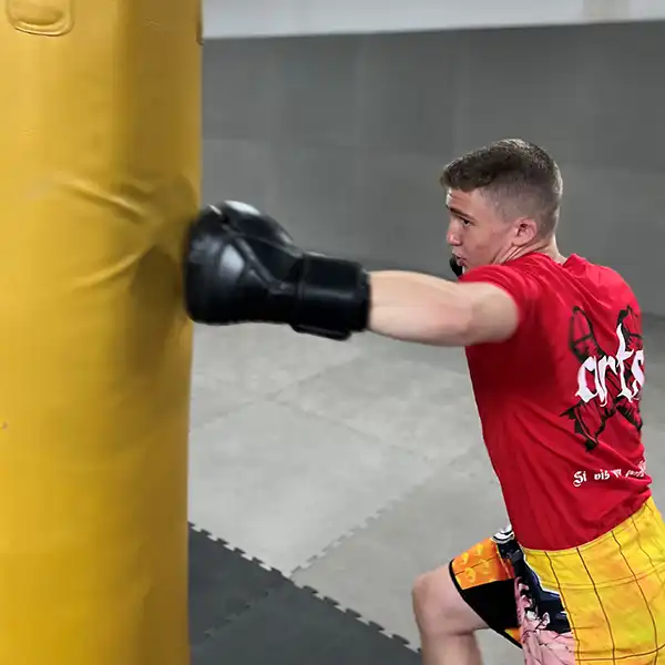 xarts boxing 5