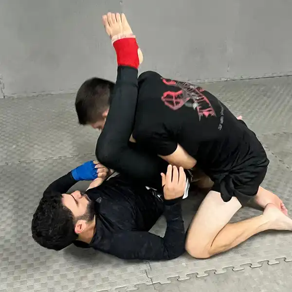 xartsbjj2